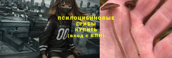 дживик Абинск