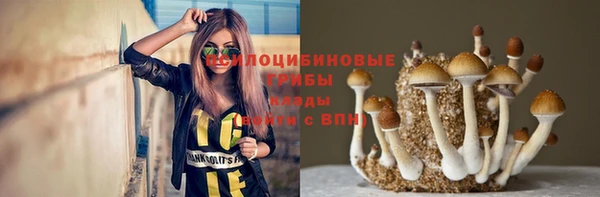 марки lsd Абаза