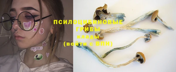 дживик Абинск