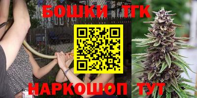 крисы Дубна