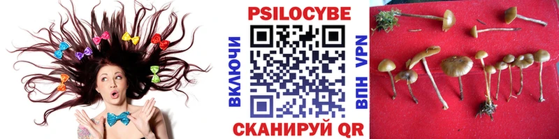 Псилоцибиновые грибы GOLDEN TEACHER  Ковров 