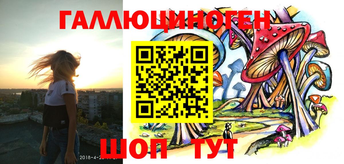 Псилоцибиновые грибы Cubensis Ковров