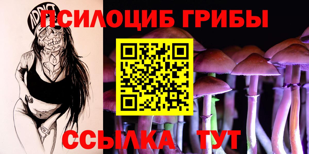 Галлюциногенные грибы MAGIC MUSHROOMS  Галлюциногенные грибы Psilocybe  Вход с VPN  Ковров 