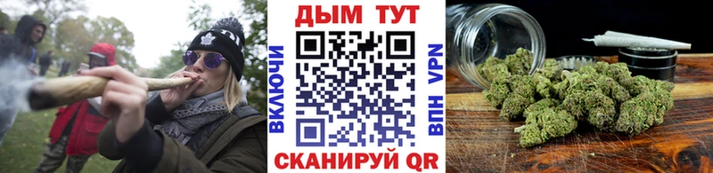 Бошки Шишки семена Ковров